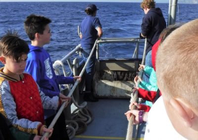 Advanced Living Systems Cruise