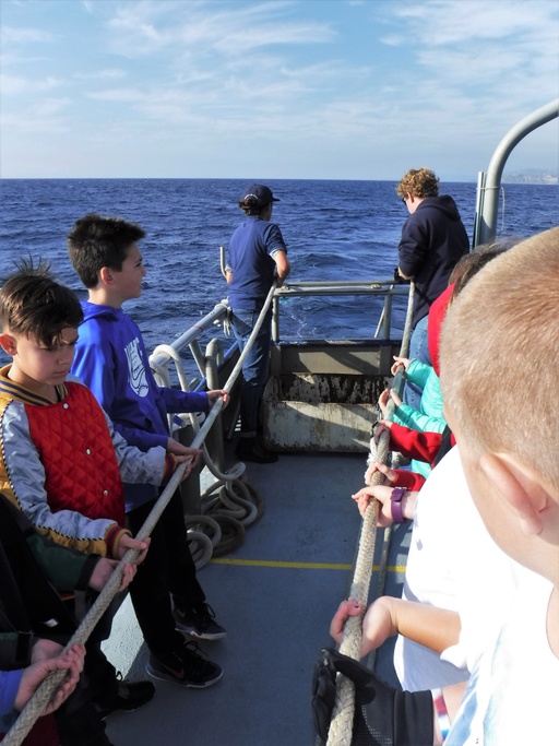 Field Trips Oi Field Trips