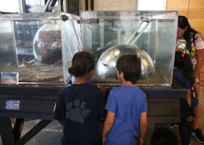 Undersea ABC’s Lab