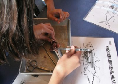 Advanced Living Systems Lab and Cruise