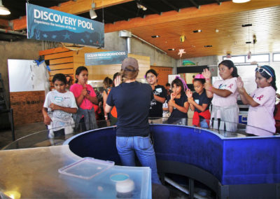 House for Hermit Crab