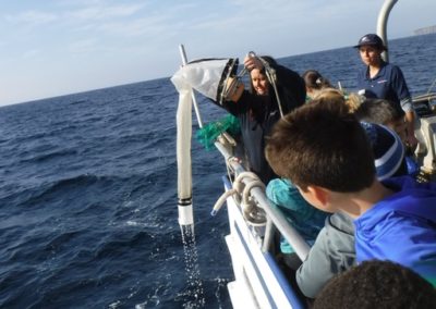 Living Systems Cruise