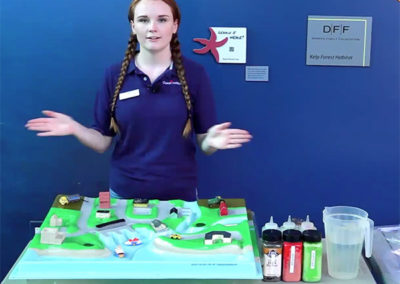 4th – 8th Grade Virtual Learning