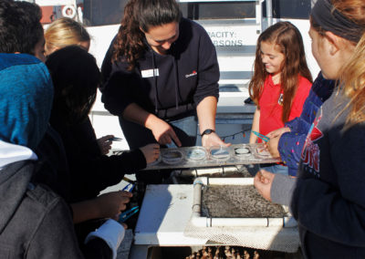 Junior Scientist Cruise